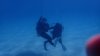 Dive image